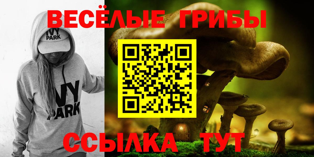 Москва  Псилоцибиновые грибы Psilocybe  Вход с VPN 