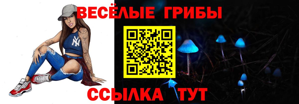 Псилоцибиновые грибы GOLDEN TEACHER Москва